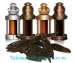 tinh dầu tr&agrave;m